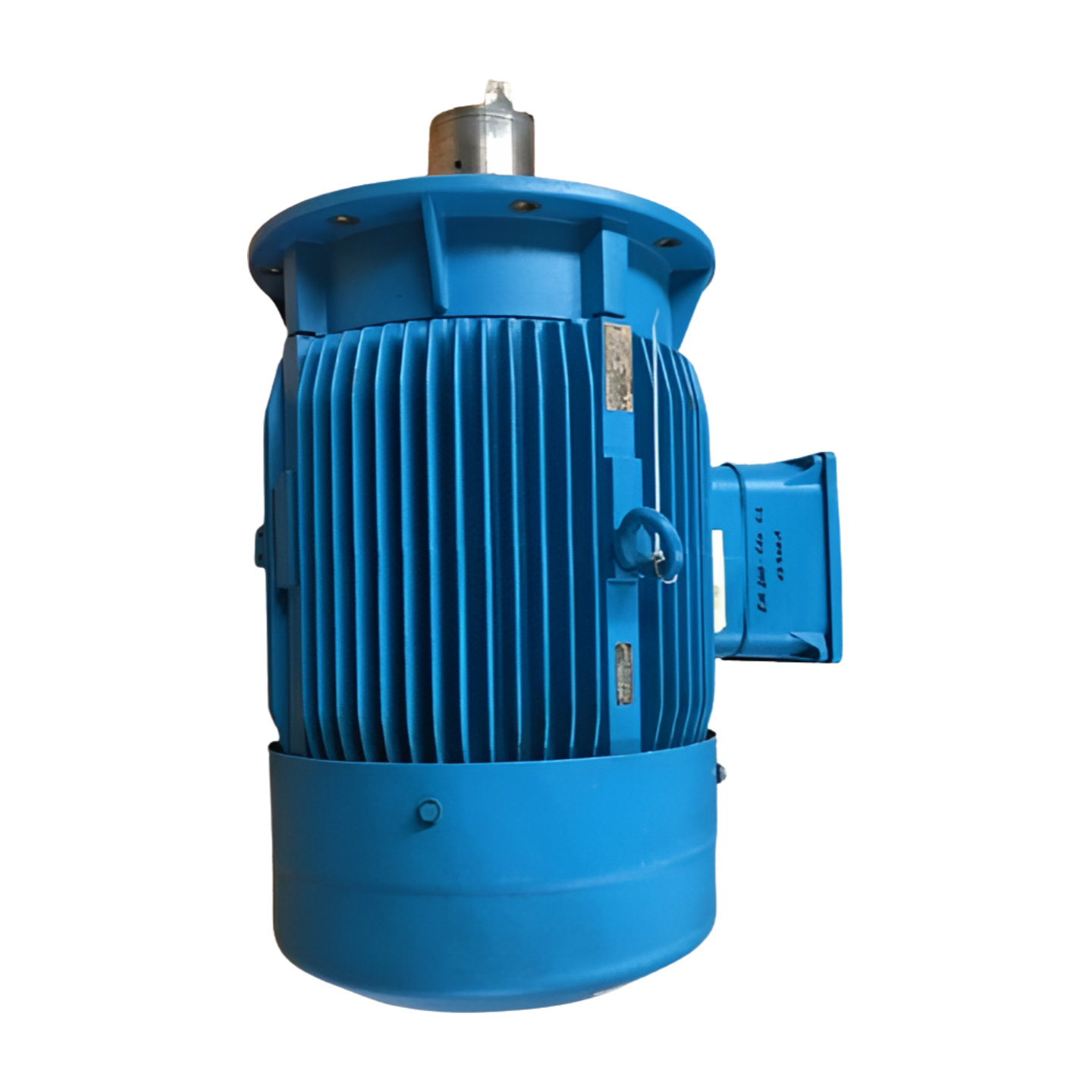 ATB-Loher Three-phase motor 37 kW, ANGA-225SE-04C